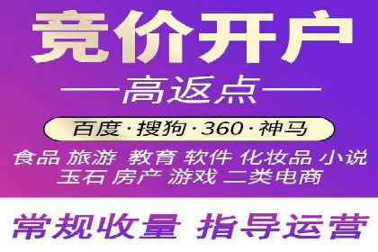 SEM广告投放的精准定位与优化案例